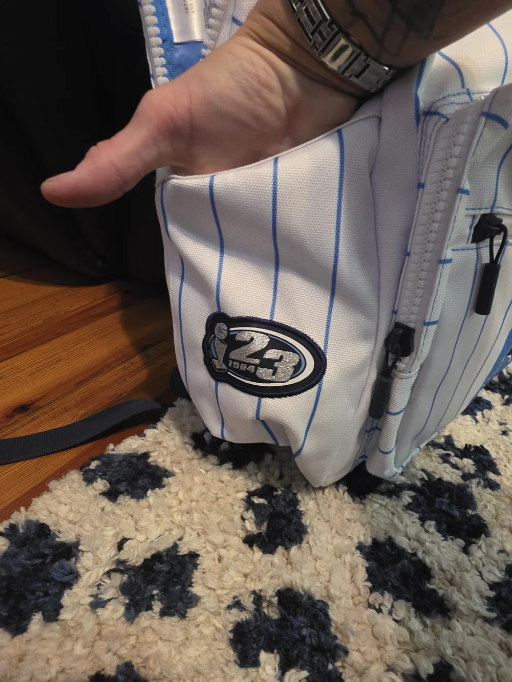 Jordan Men's Blue and White Split-Panel Backpack